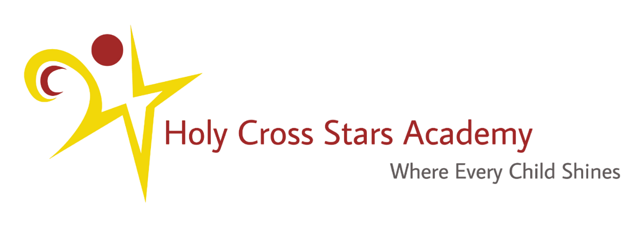Holy Cross Stars Academy